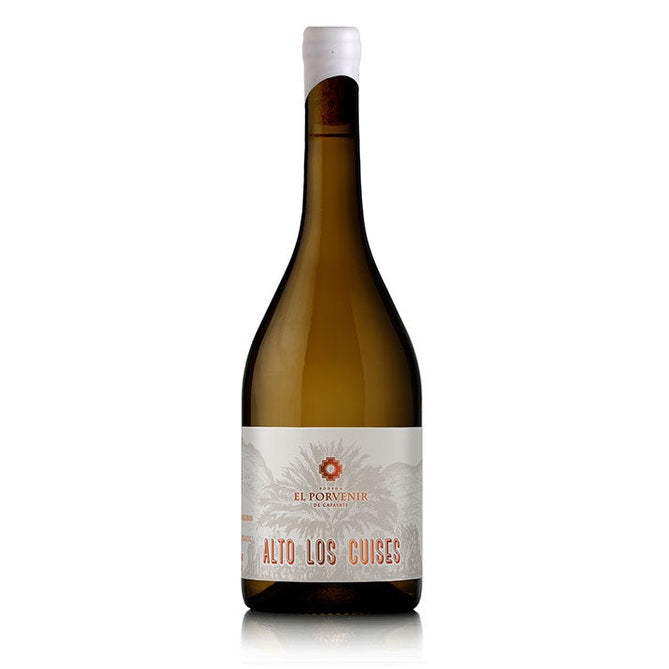 Buy El Porvenir de Cafayate, Alto Los Cuises Chardonnay, 2023 - Cantina Ed Enoteca