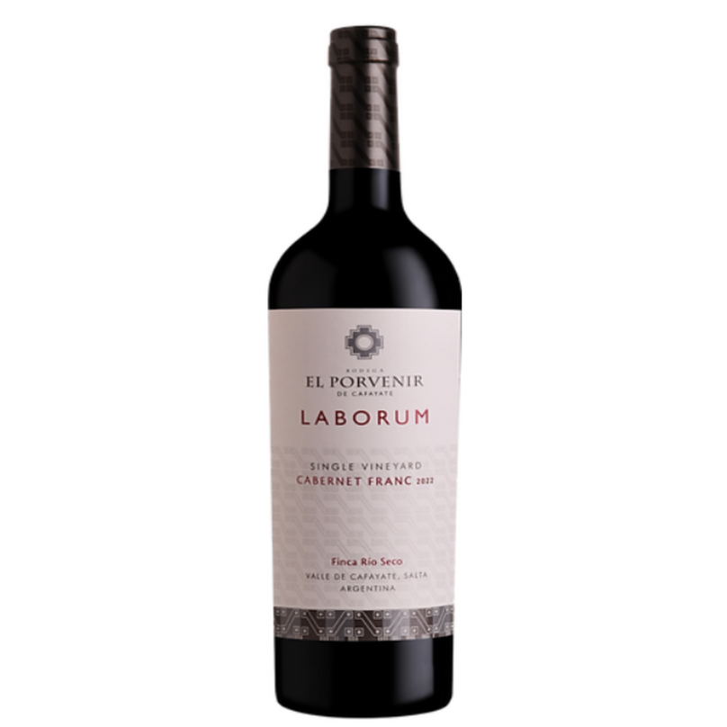 Buy El Porvenir de Cafayate, Laborum Single Vineyard Cabernet Franc, 2023 - Cantina Ed Enoteca