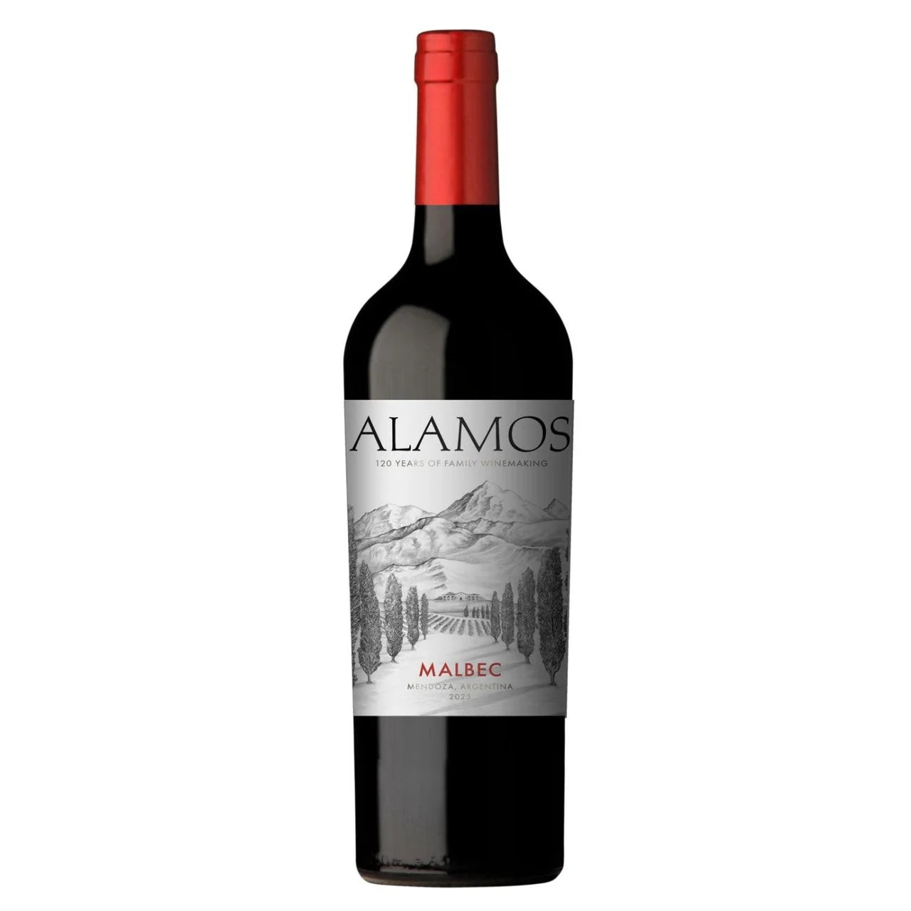 Buy Alamos, City Malbec, 2024 - Cantina Ed Enoteca