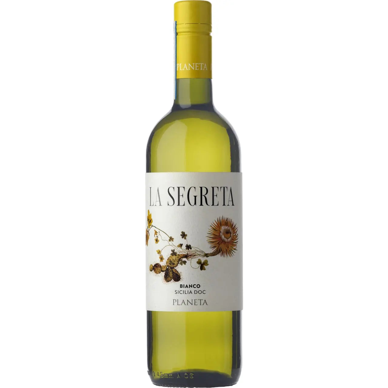 Planeta, La Segreta Bianco,2024