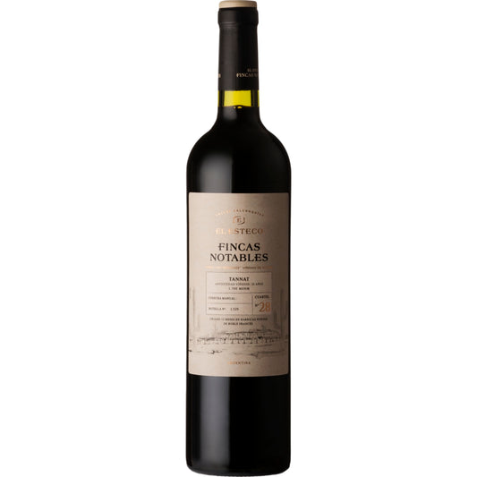 El Esteco, Finca Notables Tannat, 2020 - Cantina ed Enoteca