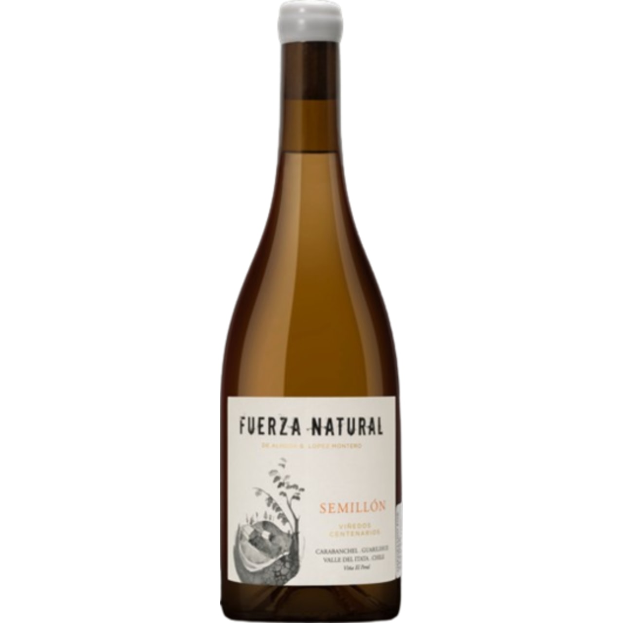 Fuerza, Natural Semillon 2021 - Cantina ed Enoteca