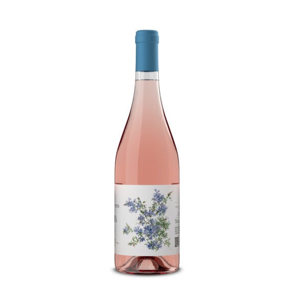 Buy Caccia al Piano, Levia Toscana IGT Rosato, 2024 - Cantina Ed Enoteca