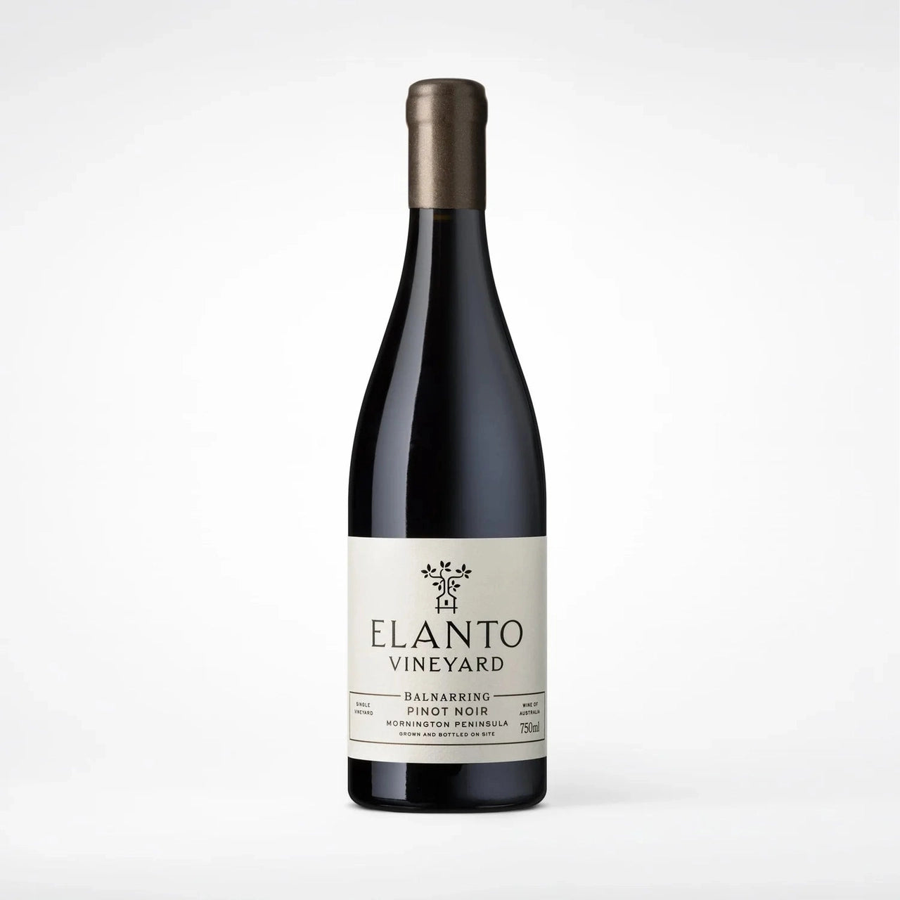 Buy Elanto Vineyard, Pinot Noir, 2024 - Cantina Ed Enoteca